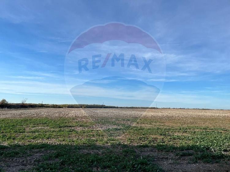 Teren agricol extravilan de 17500 mp, în Păulești