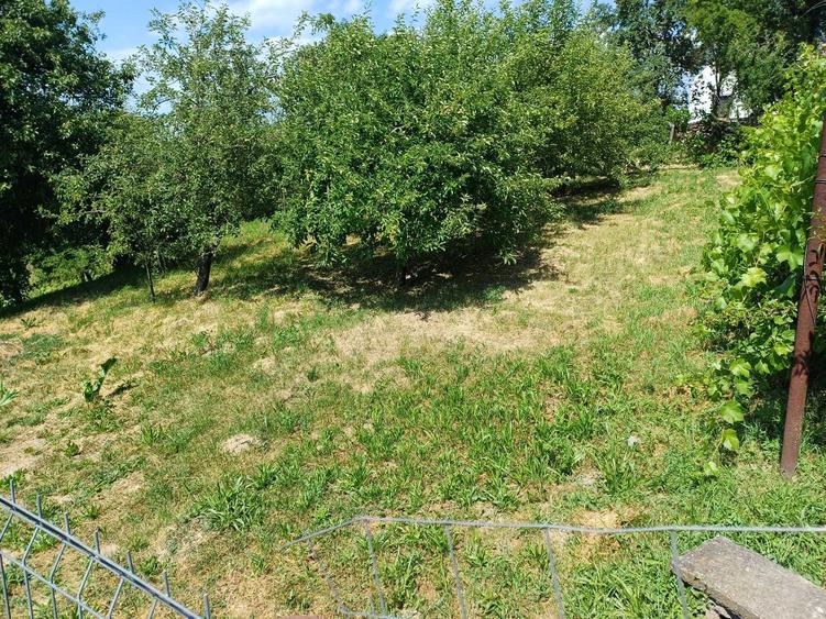 Casă cu 4 camere în Vânători