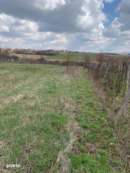 Teren intravilan Ville Satu Mare - 2