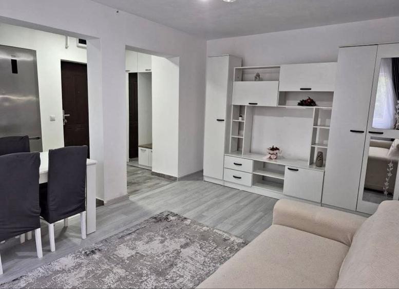 Apartament cu 2 camere în Botizului