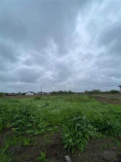 Teren Construcții intravilan de 3993 mp, în Ciorogârla