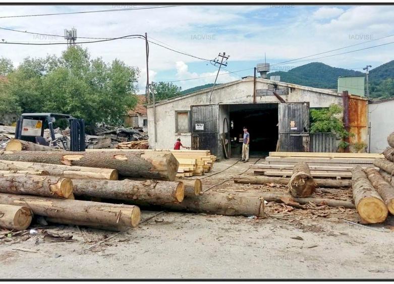 Teren agricol intravilan de 59303 mp, în Cheile Râșnoavei