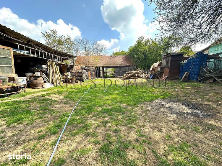 Teren Intravilan de Vanzare, Cetariu, 5450mp - 3