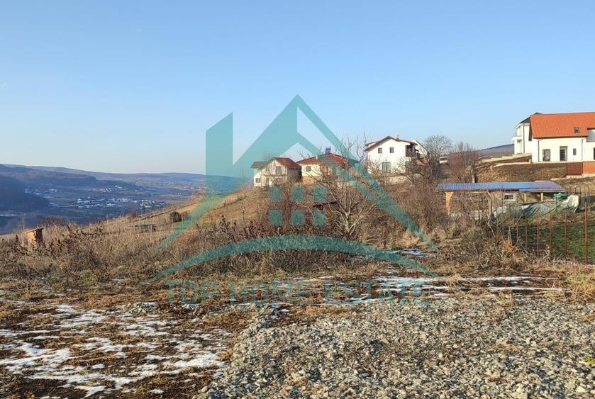 Teren agricol extravilan de 1500 mp, în Baciu