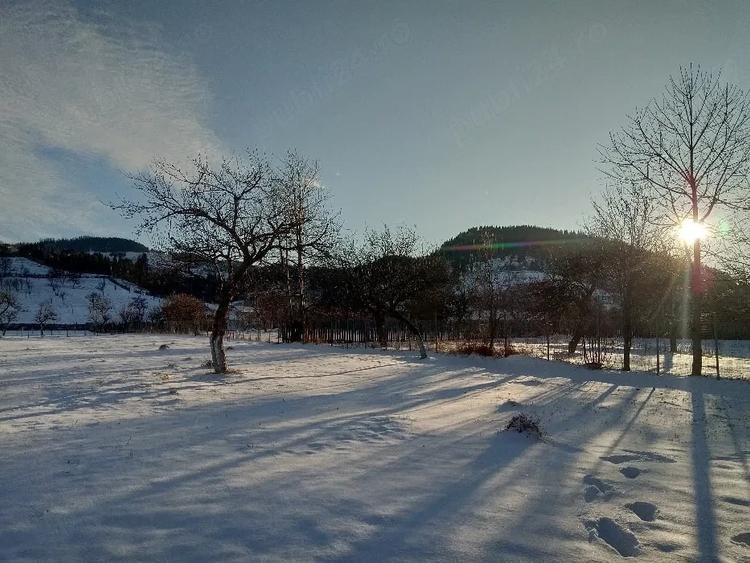 Teren intravilan la munte, in Nereju, Vrancea - 11