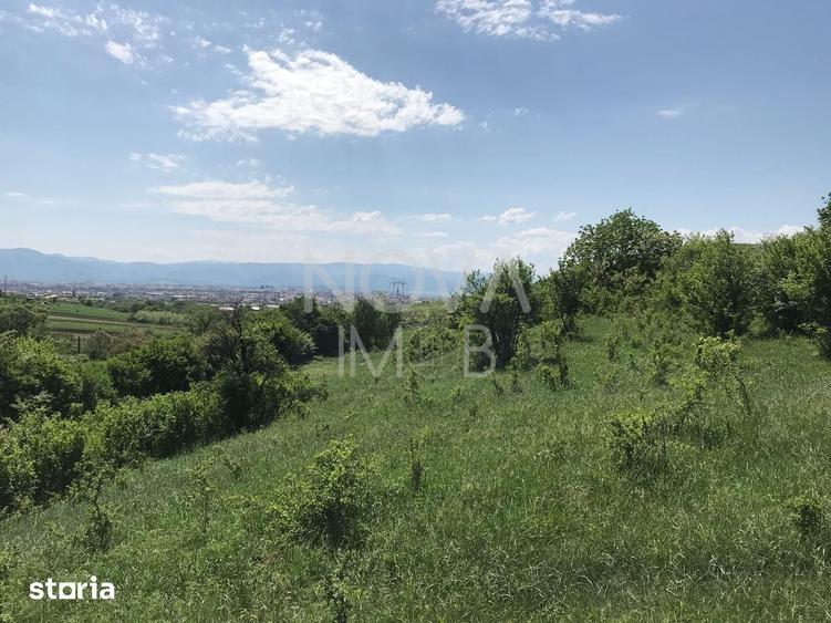 Teren de 8000 mp, în Gușterița