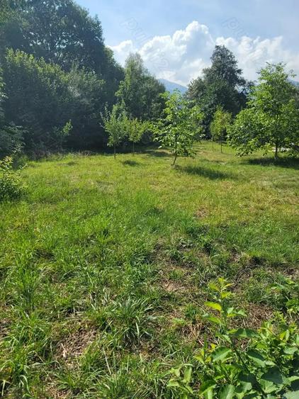 Teren în Stațiunea Climaterică Sâmbăta