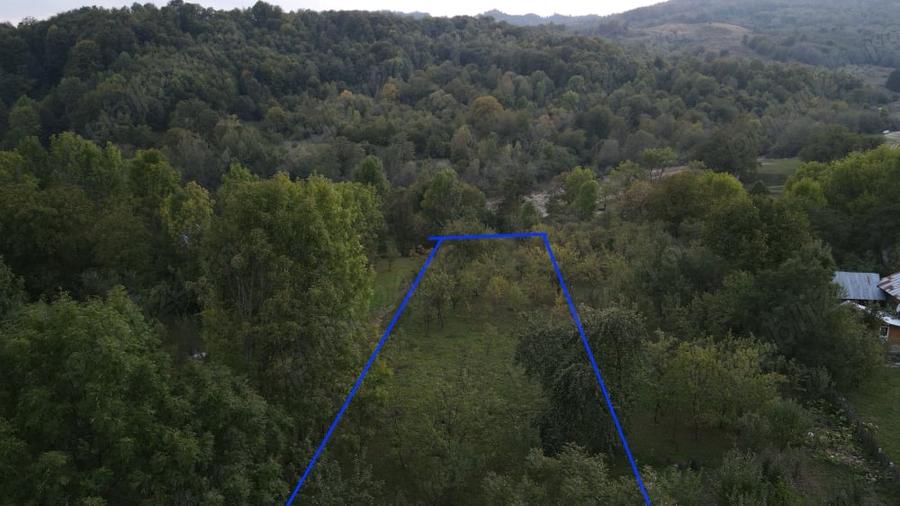 Treren intravilan Aduna?i, Valea Prahovei, Prahova - 3