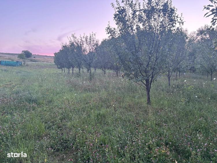 Spațiu comercial, în Sopor