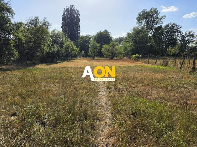 Casă individuală cu 4 camere cu Canalizare în Vințu de Jos