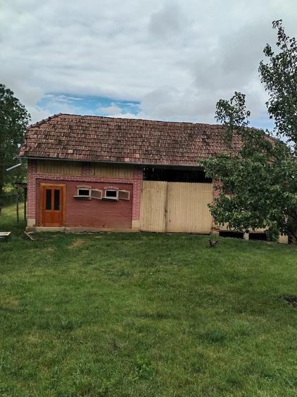 Casă cu 2 camere cu Teren 6000 Mp în Lechincioara