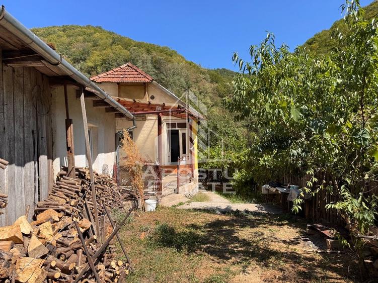 Casă individuală cu 2 camere cu Canalizare în Toplița