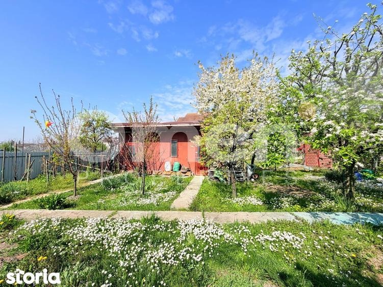 Casă cu 3 camere cu Teren 1500 Mp în Mireșu Mare