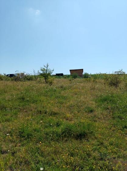 Teren agricol intravilan de 450 mp, în Chinteni