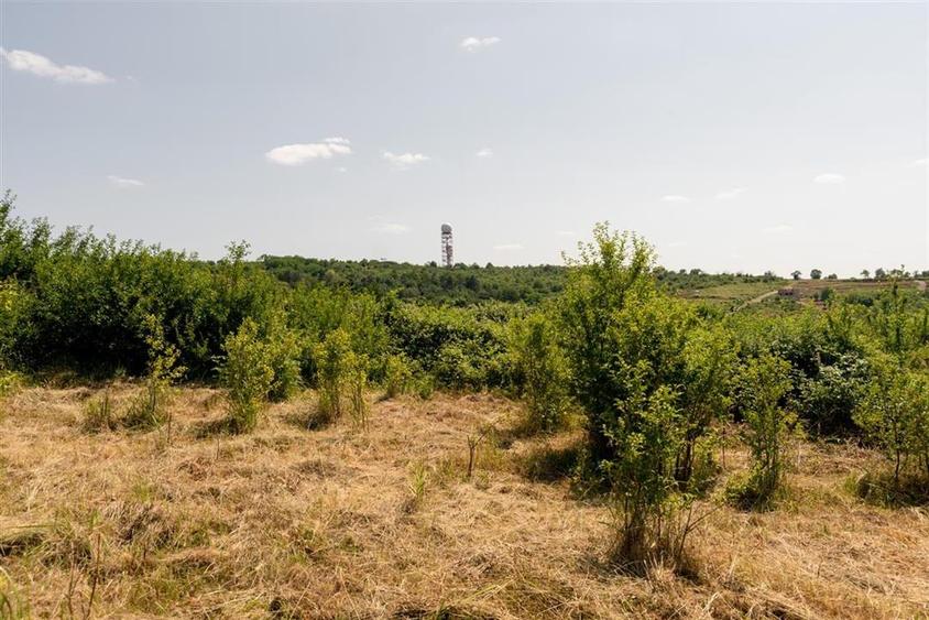 Teren intravilan de 1200 mp, în Paleu