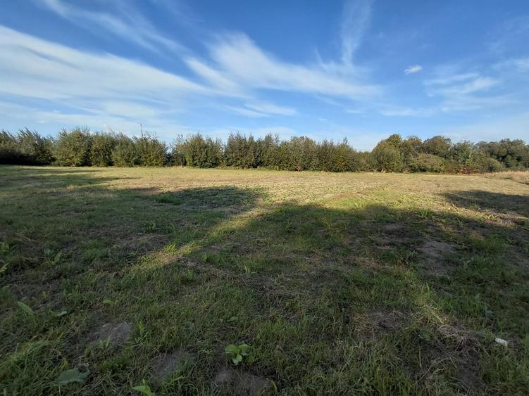 Teren Construcții intravilan de 4500 mp, în Stupinii Prejmerului