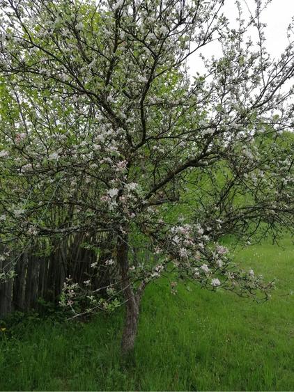 Teren de 3860 mp, în Podu Dâmboviței