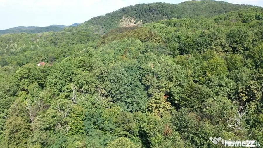 Teren în Tăuții-Măgherăuș