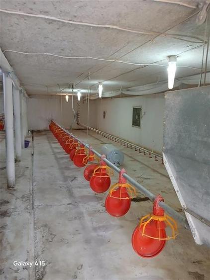 Spațiu industrial, de 132 mp, în Toboliu