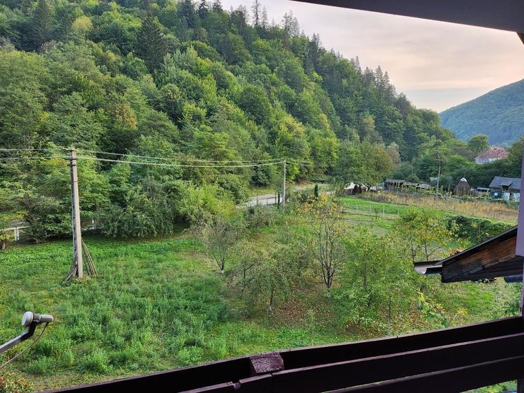 Casă cu 4 camere cu Teren 5000 Mp în Pângărăcior