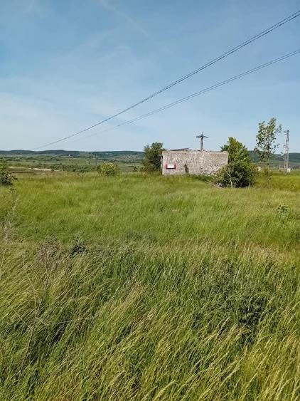Teren Construcții intravilan de 5600 mp, în Central