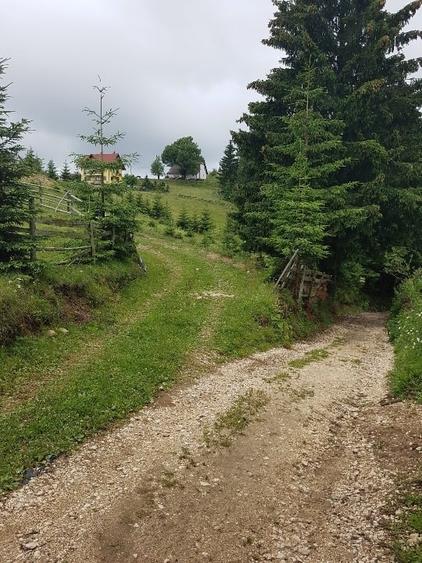 Teren intravilan de 3400 mp, în Fundata