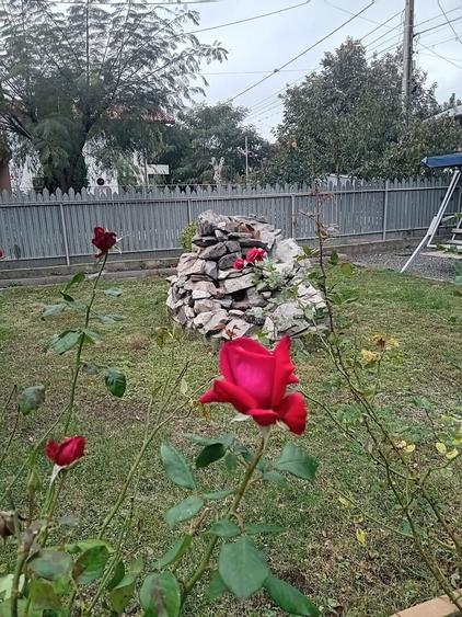 Casă individuală cu 4 camere cu Canalizare în Costi