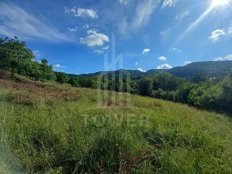 Teren de 3673 mp, în Fântânele