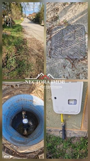 Casă cu 2 camere cu Teren 951 Mp în Paleu