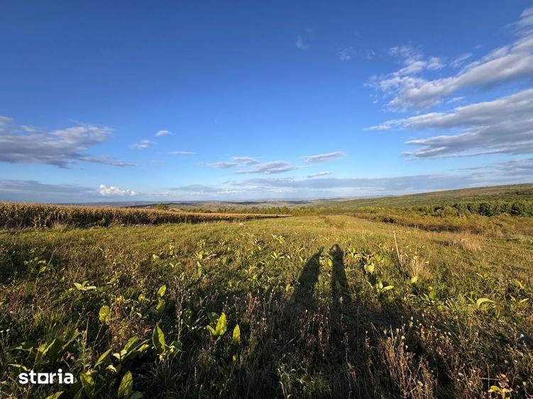 Teren de 1300 mp, în Chinteni