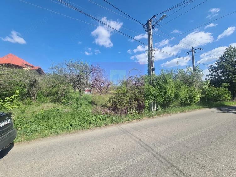 Teren de 1300 mp, în Voila