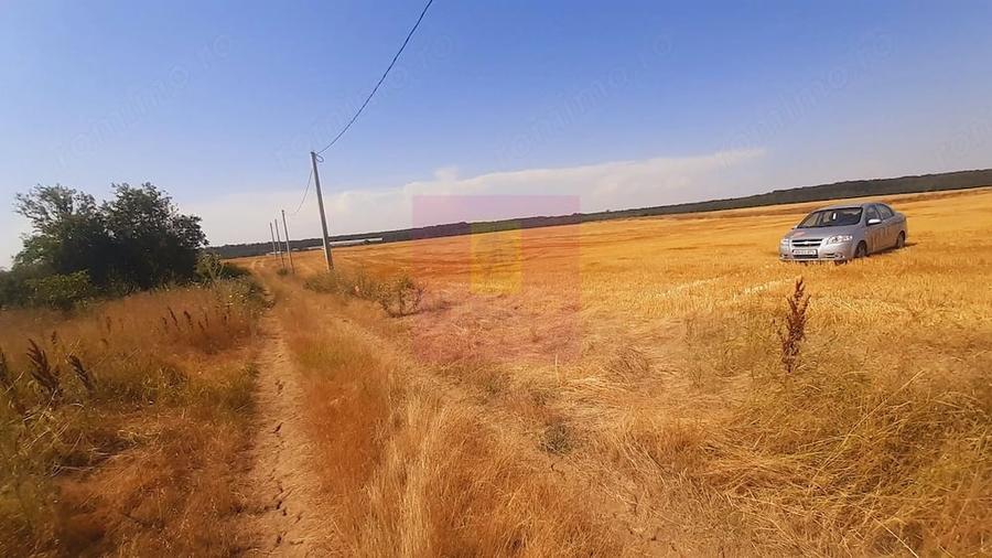 Teren de 2000 mp, în Brănești