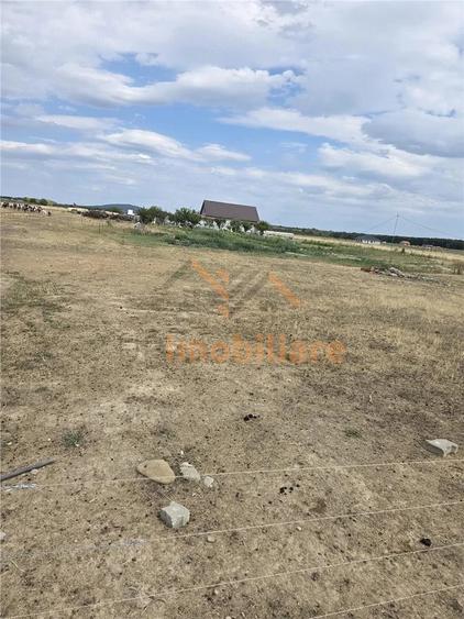 TEREN INTRAVILAN 568 MP | PROIECT CASA | CIHEI SANMARTIN | BIHOR - 2