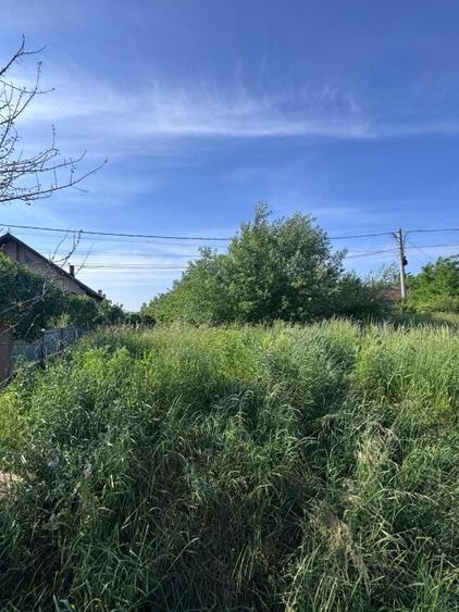 Teren intravilan, oportunitate de investitie! 5478 mp, oras Siret - 1