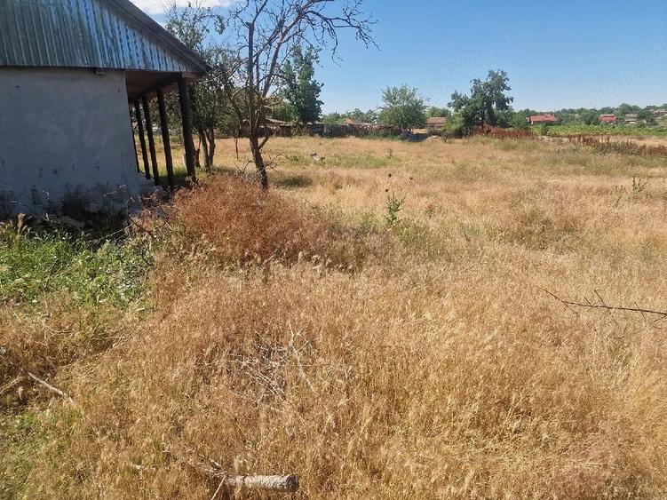 Casă cu Teren 3000 Mp în Dăeni