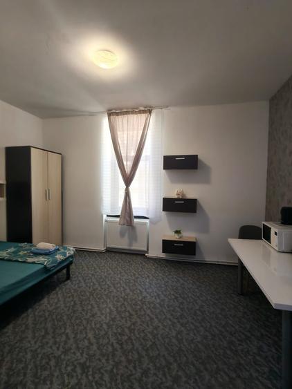 zona Medicinei, ideala studenti, mobilata, utilata complet - 6