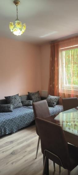 Apartament cu 2 camere semidecomandat în Horea