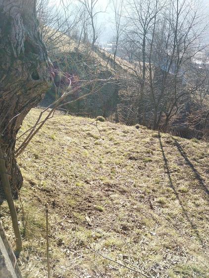 Teren de 765 mp, în Pârâul Pântei