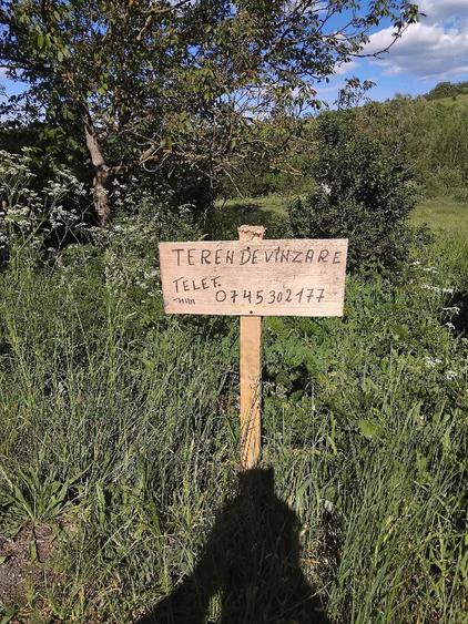 Teren de 2646 mp, în Jurca