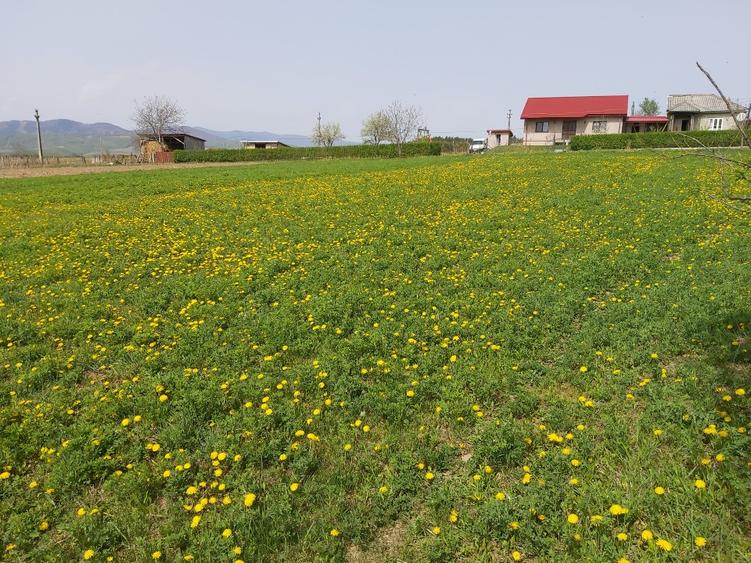 Teren Construcții intravilan de 2160 mp, în Mărăști