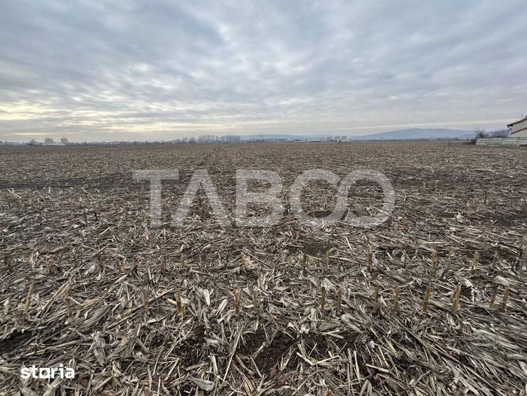Teren de 5800 mp, în Central