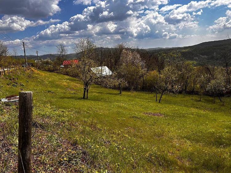 Teren de 2350 mp, în Surani