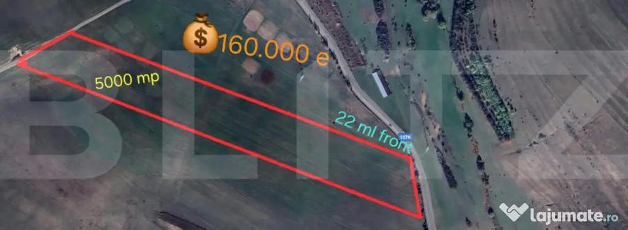 Teren de 5000 mp, în Ciurila