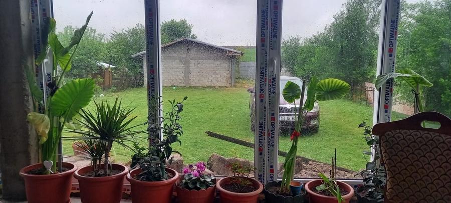 Casă cu 3 camere cu Teren 867 Mp în Central