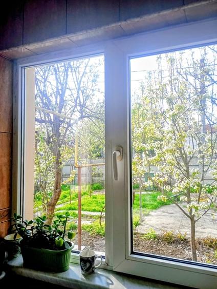 Casă cu 3 camere cu Teren 390 Mp în Jiului