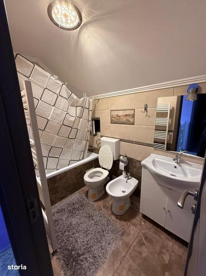 INTRARE IN IPOTESTI: Casa tip duplex P+M - 17