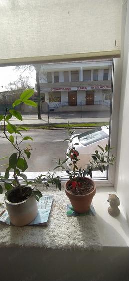 vand Apartament Bd Ai Cuza - 4