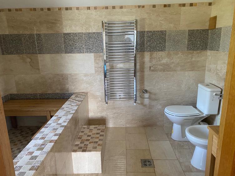 Mansarda casa 3 camere, str.Donath, zona Dacia Service, cu gradina - 10