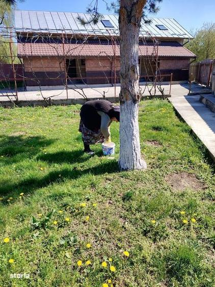 Vand casa P+M, Contesti DB ( Proprietar ) - 3