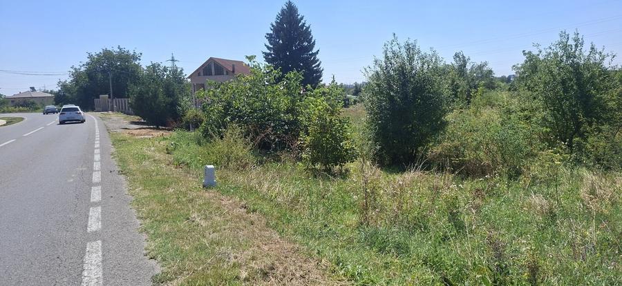 Teren de vanzare in Valea Voievozilor - 13
